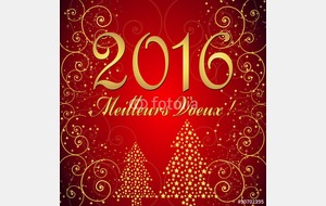 TRES BONNE ANNEE 2016!!!