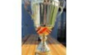 Les U19 et U15 en COUPE et CHALLENGE les 7 et 8 janvier 2017.