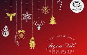 JOYEUX NOEL ET BONNES FETES DE FIN D'ANNÉE
