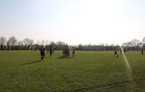 69c5487f382ae_IMG5855.JPG
