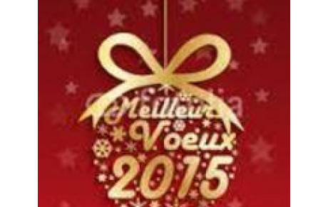 L'O.L.D. VOUS SOUHAITE UNE BONNE ANNEE 2015!!!