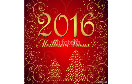 TRES BONNE ANNEE 2016!!!