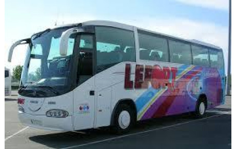 DEPLACEMENT EN CAR DIMANCHE A ANDARD BRAIN